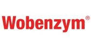 Wobenzym