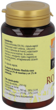 Rhodiola Plantis 60 kapsułek