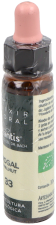 Orzech Plantis No. 33 10 ml