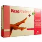 Vasoprotect (krążeniowy) 20 ampułek x 15 ml