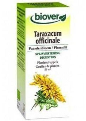 Mniszek lekarski Taraxacum Officinale 50 ml