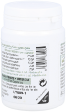 Ergyphilus Conf 60 kapsułek