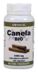 Cynamon 1000 mg. 100 Kaps.