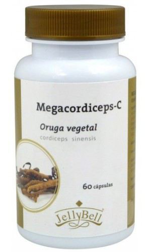 Megacordiceps C (gąsienica warzywna) 60 czapeczek.