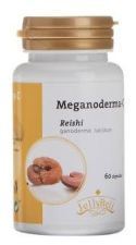 Meganoderma C (Reishi) 60 kapsułek.