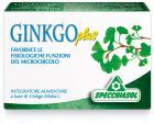 Ginkgo Plus 30 składnik&oacute;w