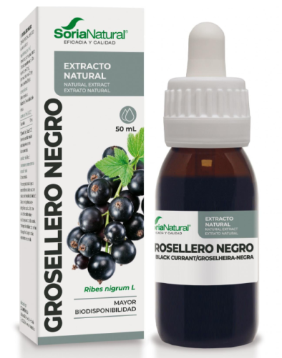 Soria Natural Ekstrakt naturalny z czarnej porzeczki 50 ml