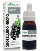 Ekstrakt naturalny z czarnej porzeczki 50 ml