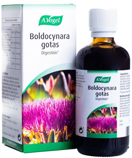 Krople Boldocynara 100 ml