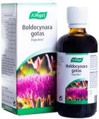 Krople Boldocynara 100 ml