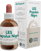 Populus Nigra Czarna topola 50 ml