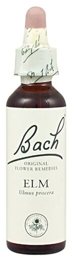 Bach 11 Elm 20 ml
