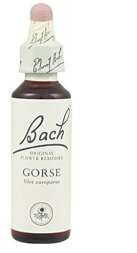 Original Flower Essences Bach 13 Gorse 20 ml