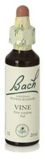 Bach 32 winorośl 20 ml