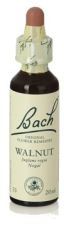 Bach 33 Orzech 20 ml