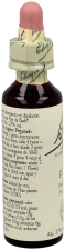 Bach 24 Sosna 20 ml