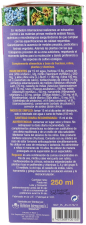 Syrop Reguven 250 ml