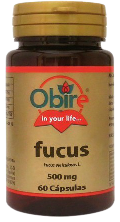Fucus 60 kapsułek 500 mg