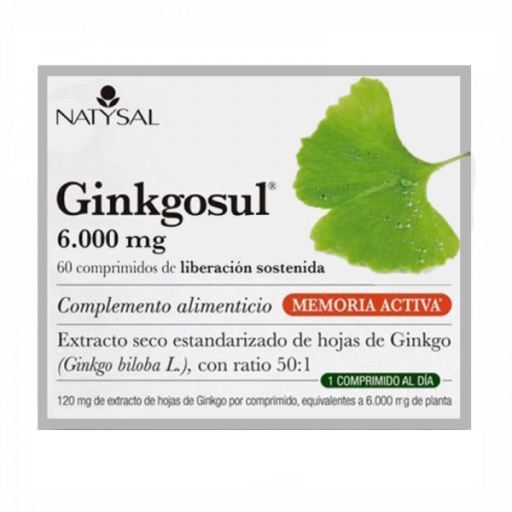 Natysal Ginkgosul 60 kapsułek