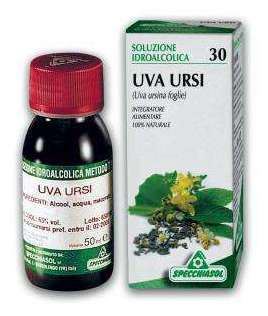 Gajuva (Uva Ursi) 50 ml