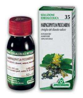 Czarci Pazur (Harpagophytum Procumbens) 50 ml