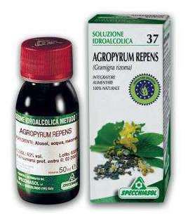 Roztw&oacute;r wodno-alkoholowy 37 Kanapa Trawa Agropyron repens 50 ml