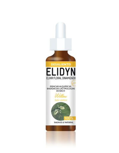 Elidyn Wierzba 20 ml