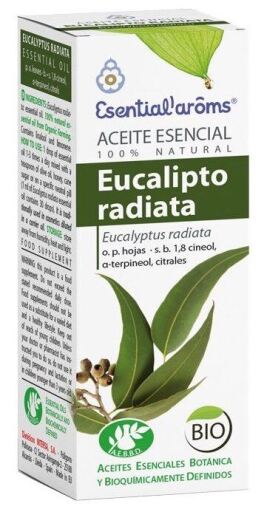 Olejek eteryczny z eukaliptusa radiata 10 ml