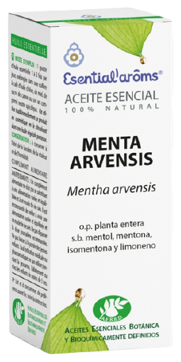 Esencja Mięty Arvensis 10 ml