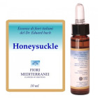 Fm 16 Wiciokrzew 10 ml