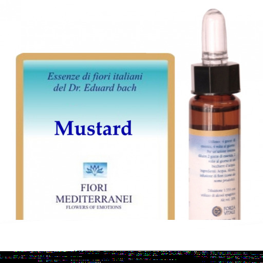 Fm 21 Musztarda 10 ml