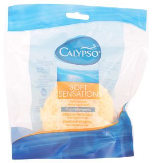 Calypso Body