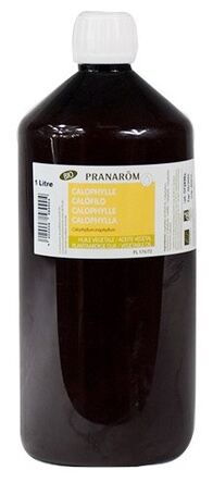 Organiczny olej roślinny Calophyllum