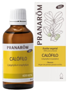 Organiczny olej roślinny Calophyllum