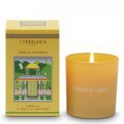 Cinnamon scented candle and geranium leaves