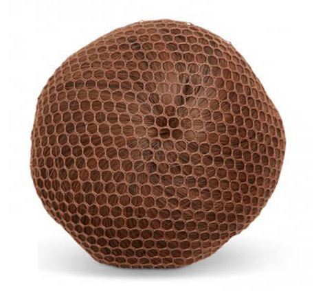 Pokrzywa Brown Bunny