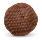 Pokrzywa Brown Bunny