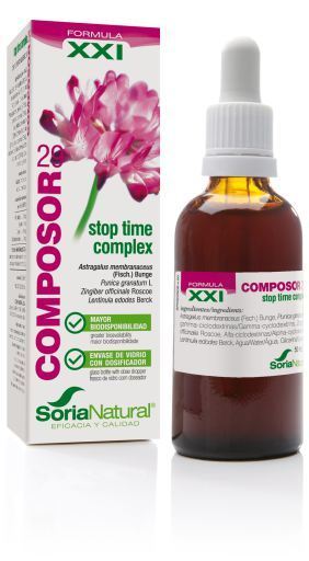 Kompozytor 29 Kompleks Stop-Time XXI wiek