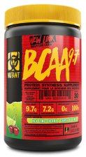 BCAA 97 348 gr