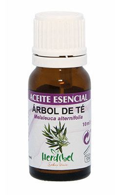Olejek eteryczny z drzewa herbacianego 10 ml