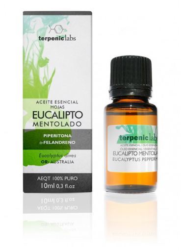 Mentol eukaliptusowy 10 ml