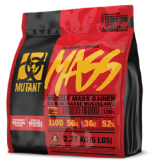 Masa Gainer 2270 gr