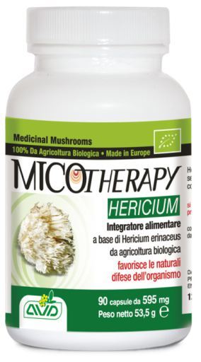 Mikroterapia Hericium 90 kapsułek