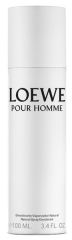 Wlać Homme Deo Vaporizer 100 ml