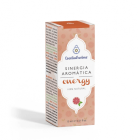 Aromatyczna Synergia Energia 15 ml