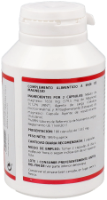 Holoram Malate Magnesium 180 kapsułek Holoram Malate Magnesium 180 kapsułek