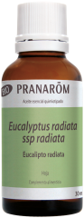 Bio Eukaliptus Radiata Liść 30 ml