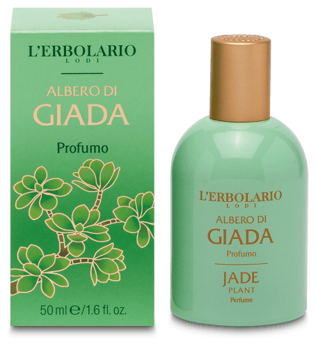 Perfumy Drzewo Jadeitowe 50 ml