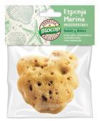 Gąbka dla dzieci z Morza Śr&oacute;dziemnego