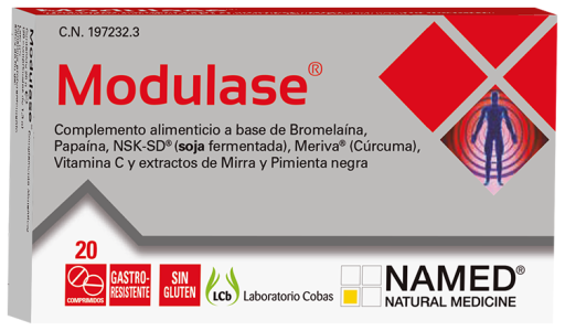 Modulaza